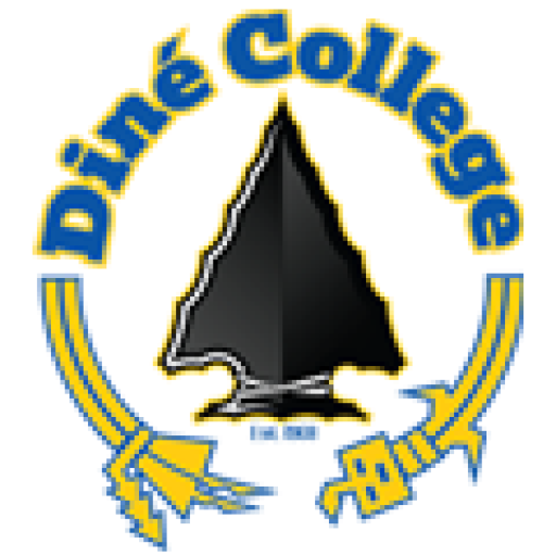 cropped-cropped-dc_logoFooter.png