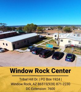 Navajo visual data 6