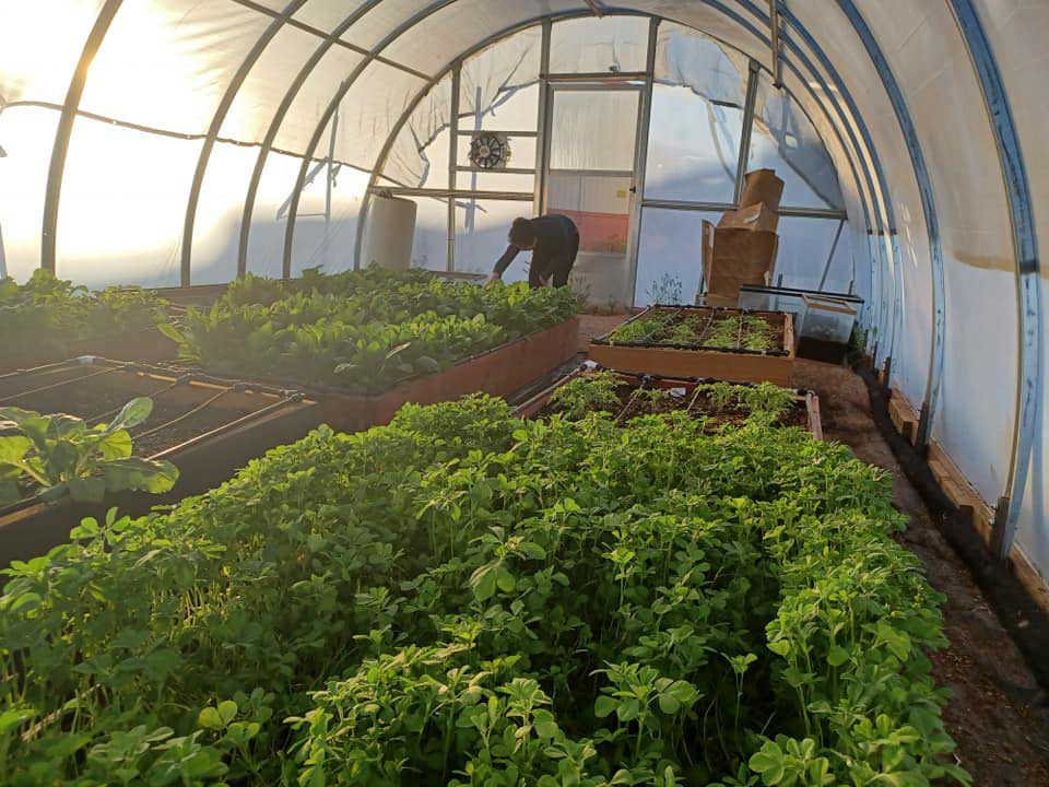 Agriculture-img-optimized