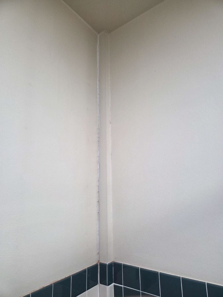 Ladies Bathroom wall cracked