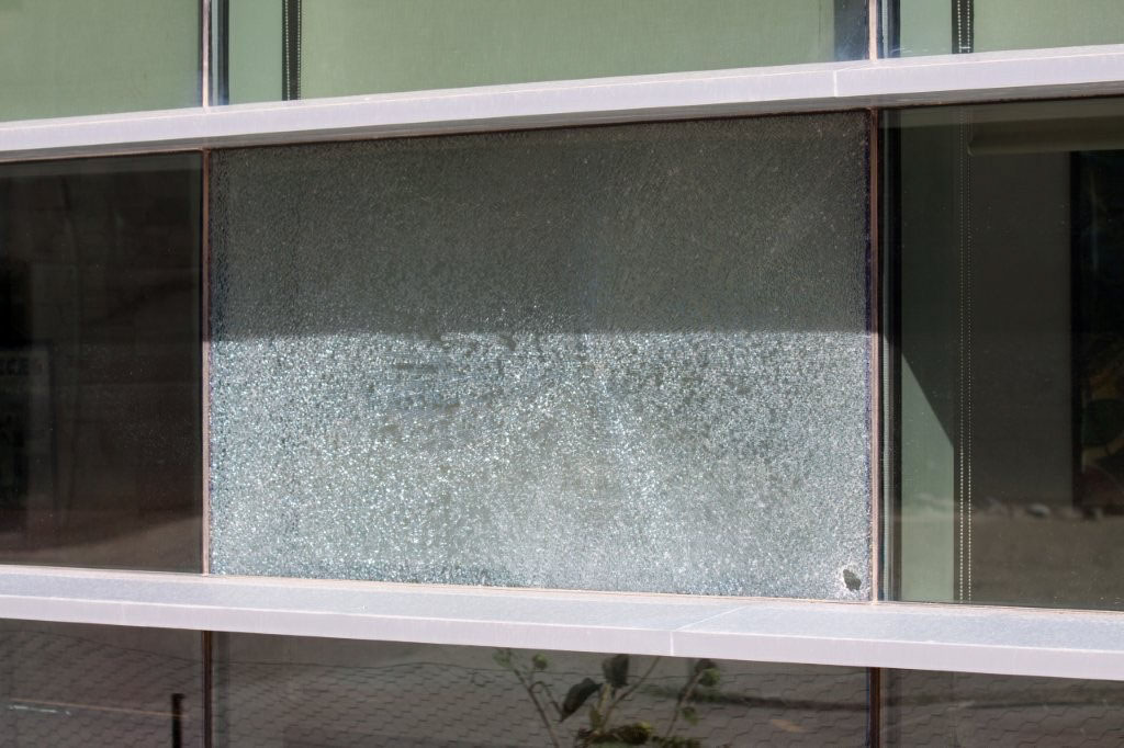 Library Window