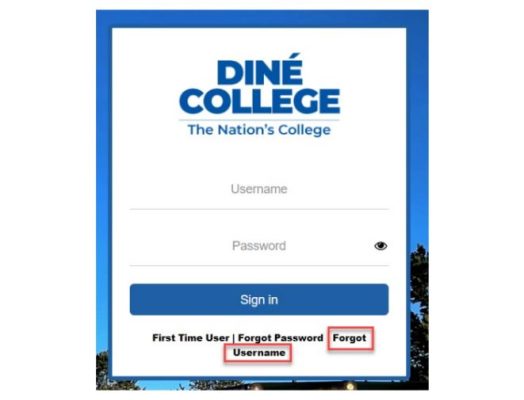 forget-username forget-username