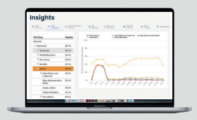 insights1.1 insights1.1
