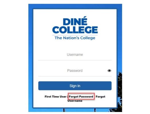 password-forgot password-forgot